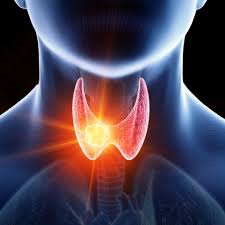 Thyroid Care