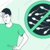 How to Increase Sperm Count