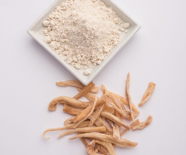 Safed Musli