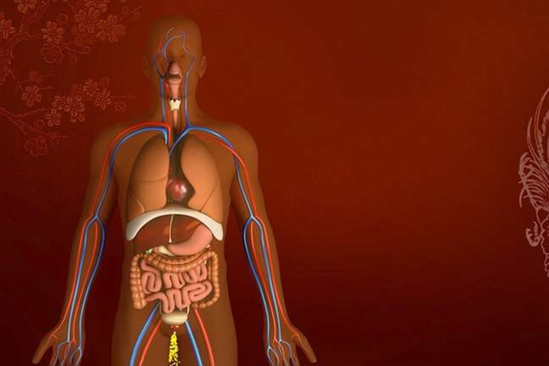 Virechana Karma Therapy - 3