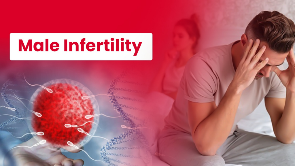 Male Infertility